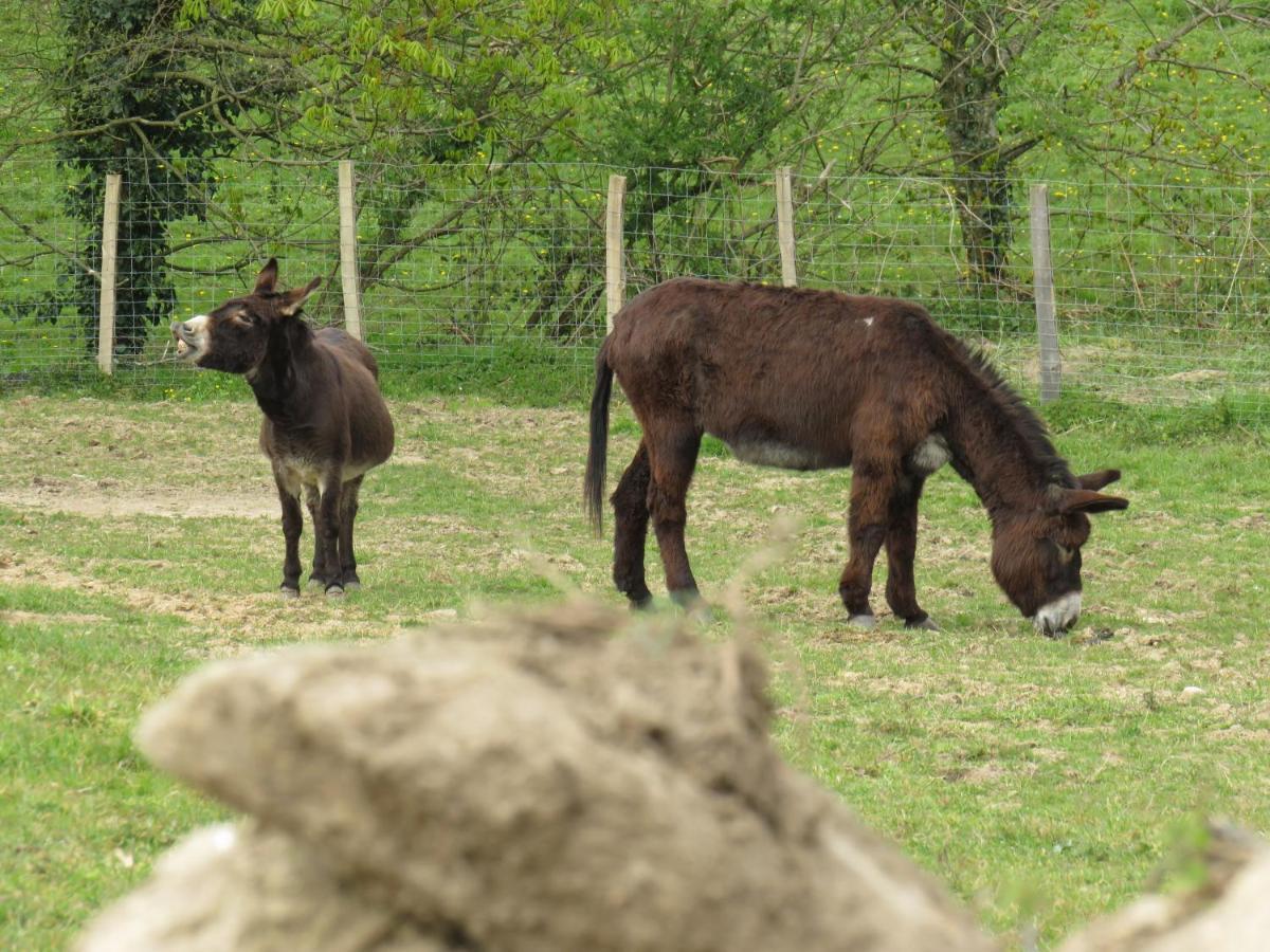 Domaine Des Fees Daire La Gaubretiere Dış mekan fotoğraf