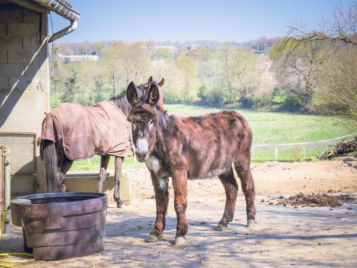 Domaine Des Fees Daire La Gaubretiere Dış mekan fotoğraf