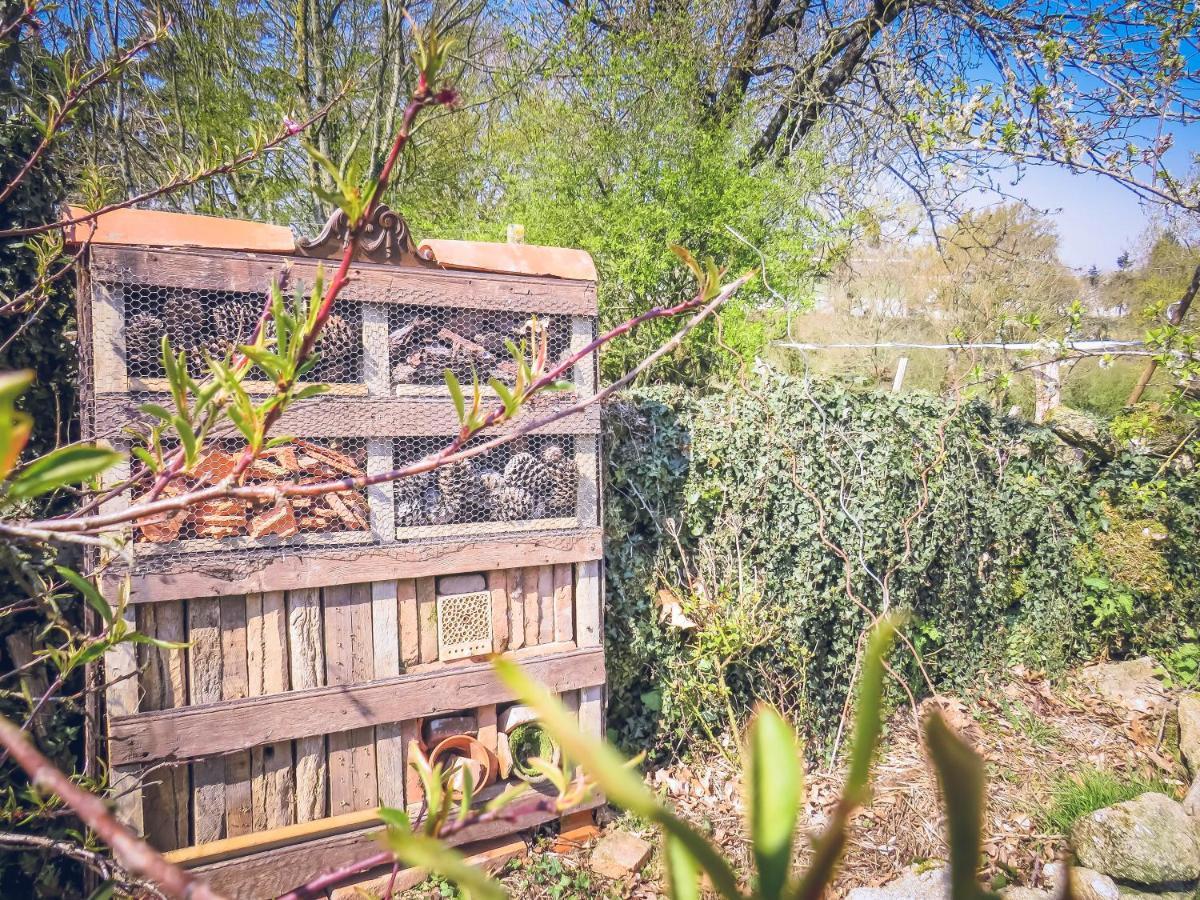 Domaine Des Fees Daire La Gaubretiere Dış mekan fotoğraf