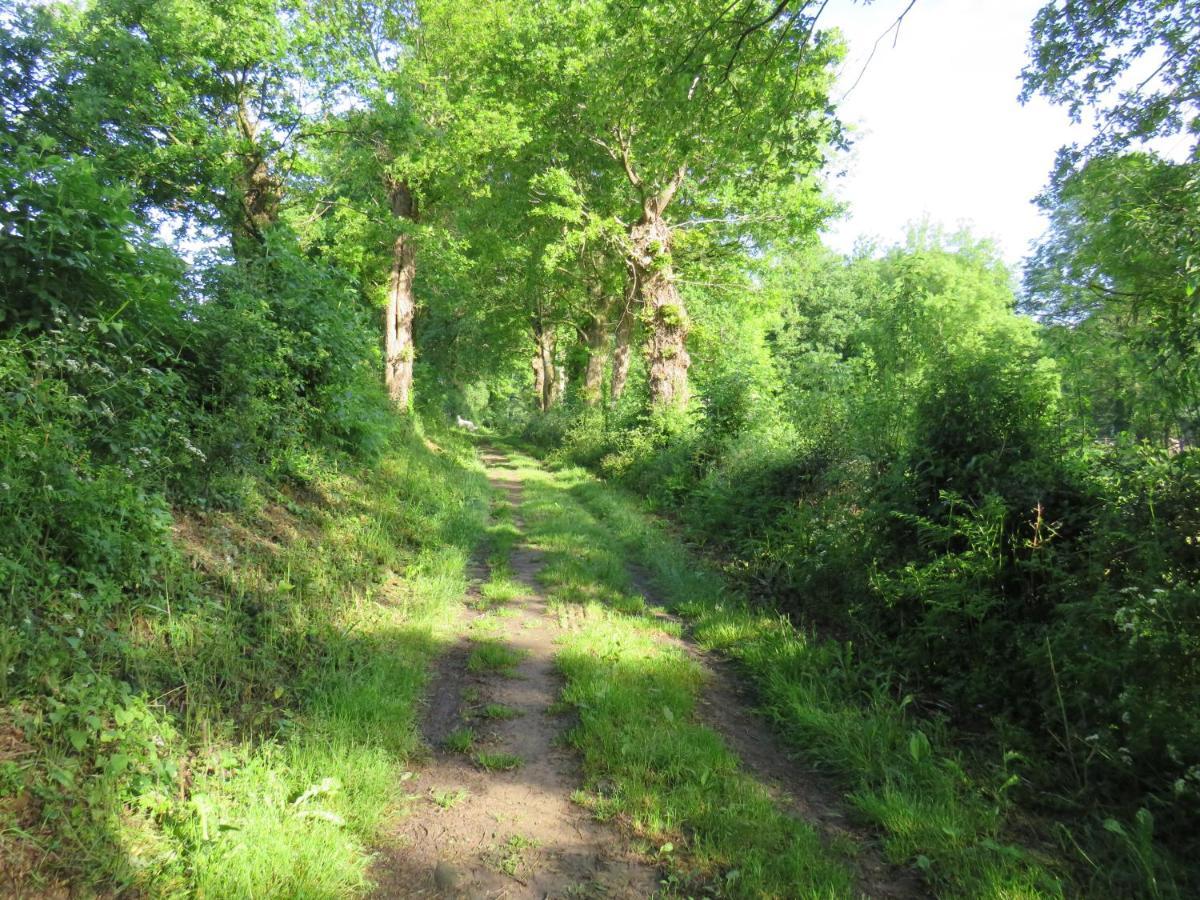 Domaine Des Fees Daire La Gaubretiere Dış mekan fotoğraf