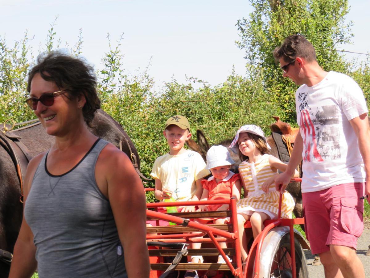 Domaine Des Fees Daire La Gaubretiere Dış mekan fotoğraf