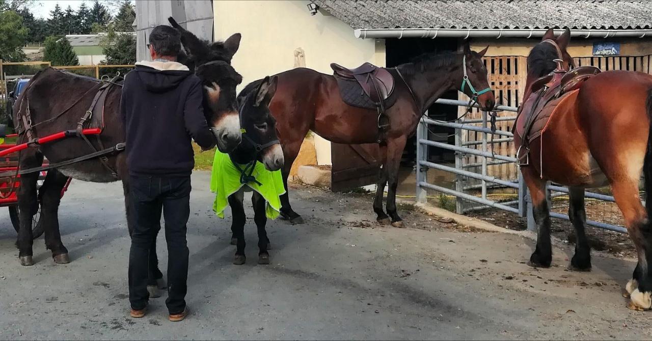 Domaine Des Fees Daire La Gaubretiere Dış mekan fotoğraf