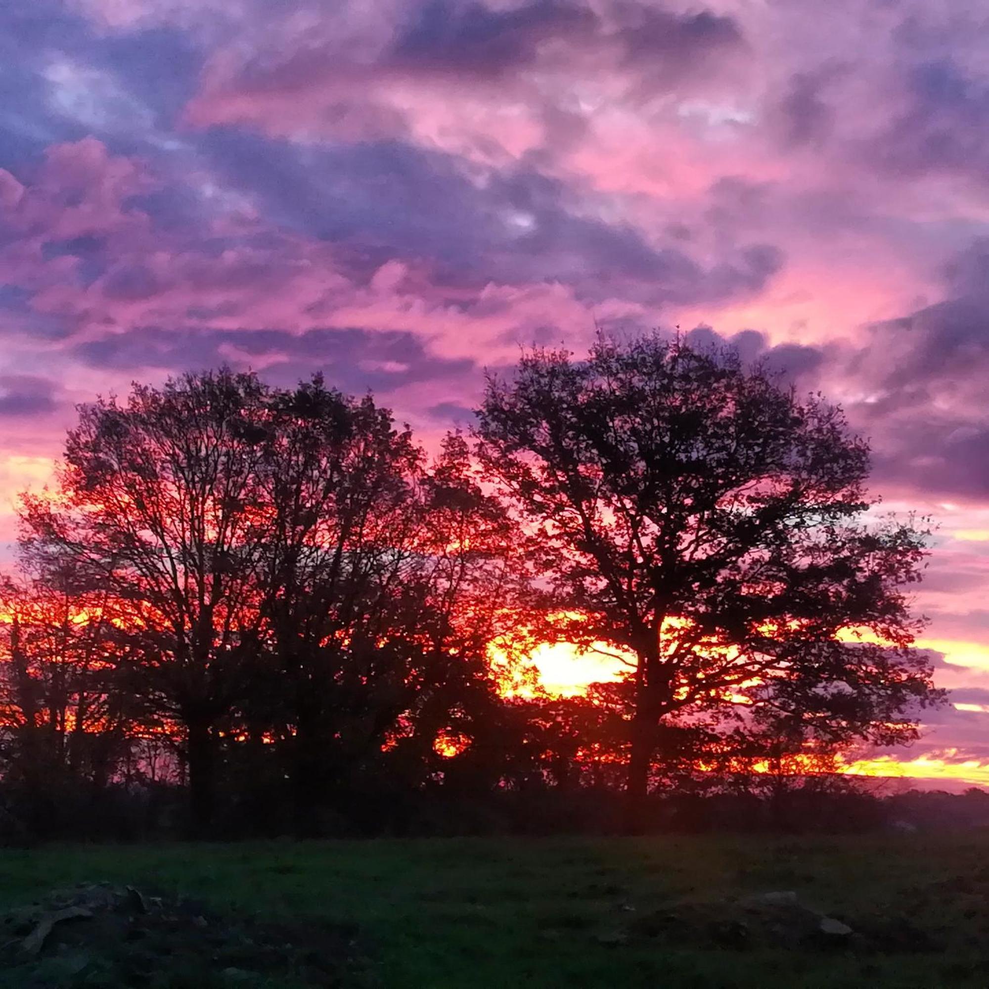 Domaine Des Fees Daire La Gaubretiere Oda fotoğraf